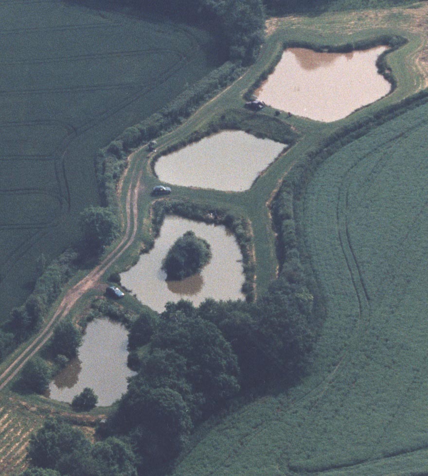 Newcourt Ponds